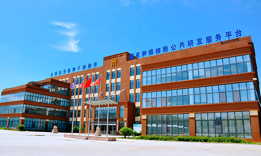 喜报！今年会官网登录入口生物牵头项目获批科技部国家重点研发妄想重点专项